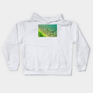 Overview from Santarelli lakes with greenery, yellow flowers and crystalline waters with stones Kids Hoodie